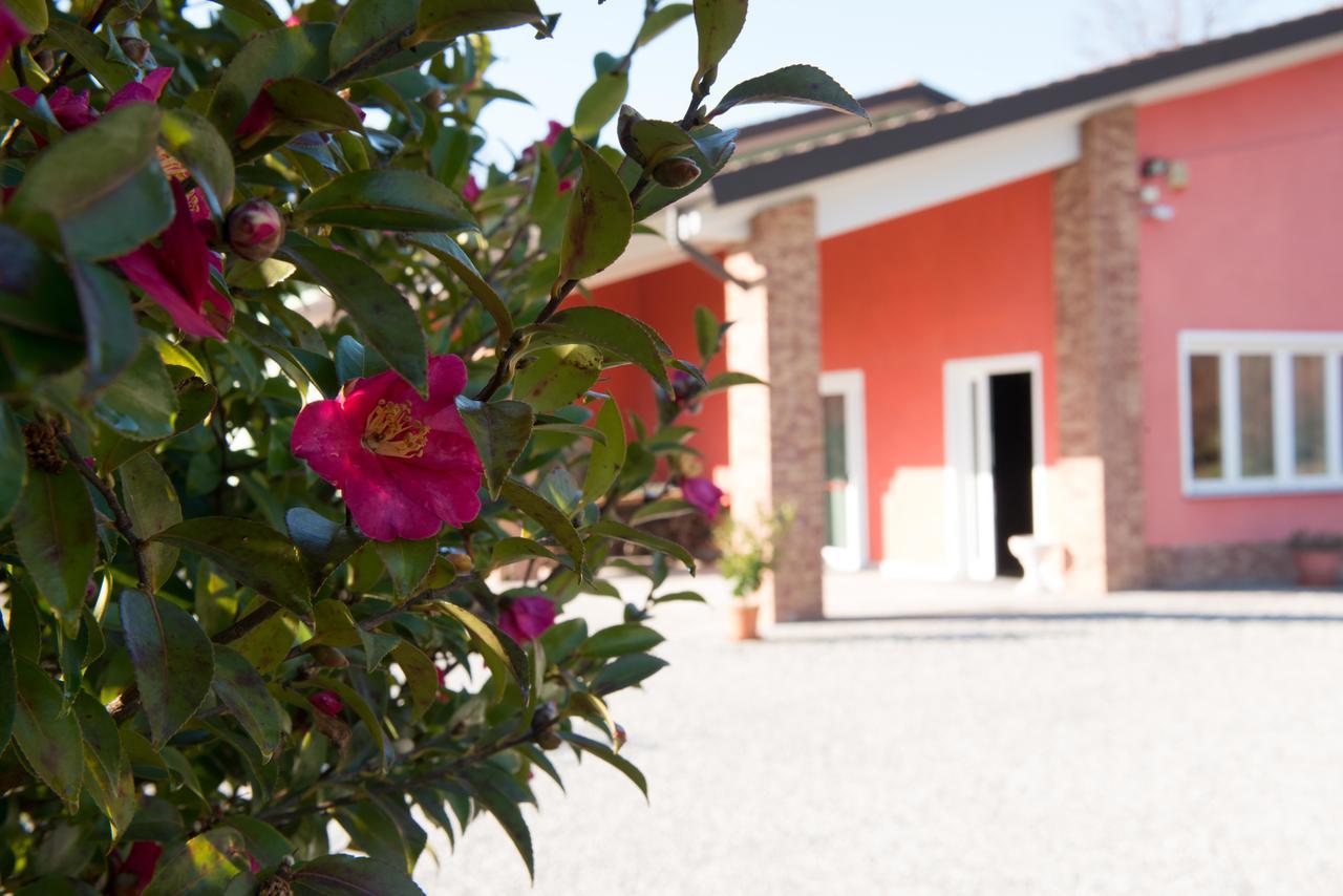 Tenuta La Vigna Malgesso Exteriör bild